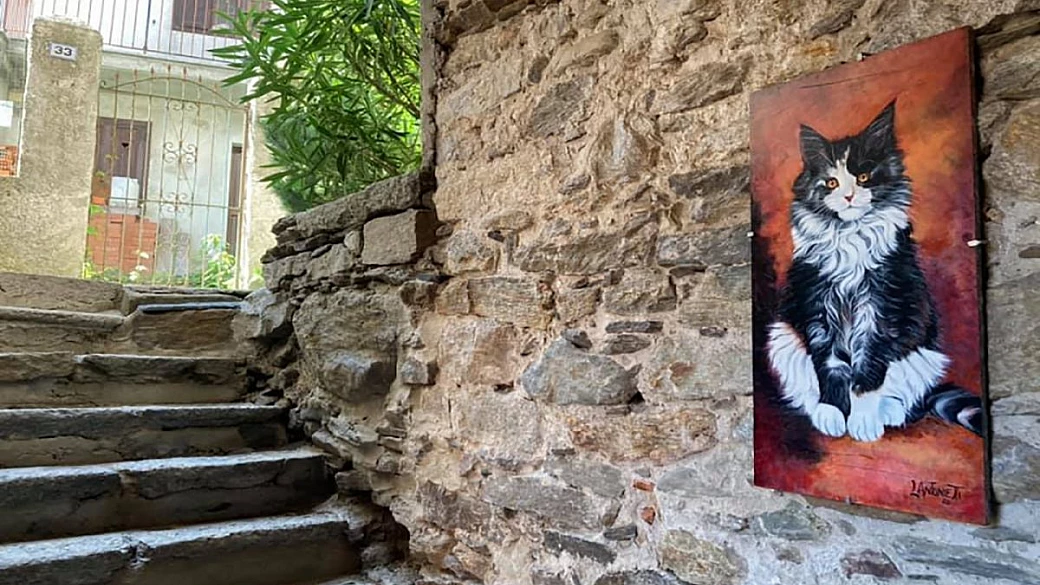 se anche tu ami i gatti, c'è un piccolo paesino in piemonte tutto dedicato a loro