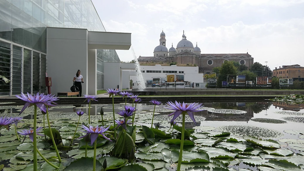 padova: l’orto botanico e la storia del caffè