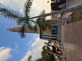 005_torre_del_cairo_2_