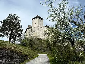 2f61a76a_cf4a_4a75_bde8_76dc938f7ed2