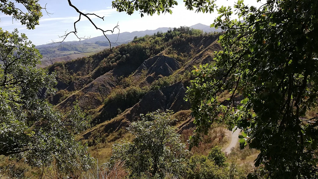 tg del turismo: eventi e notizie da trapani, taranto, roma, bologna, torino