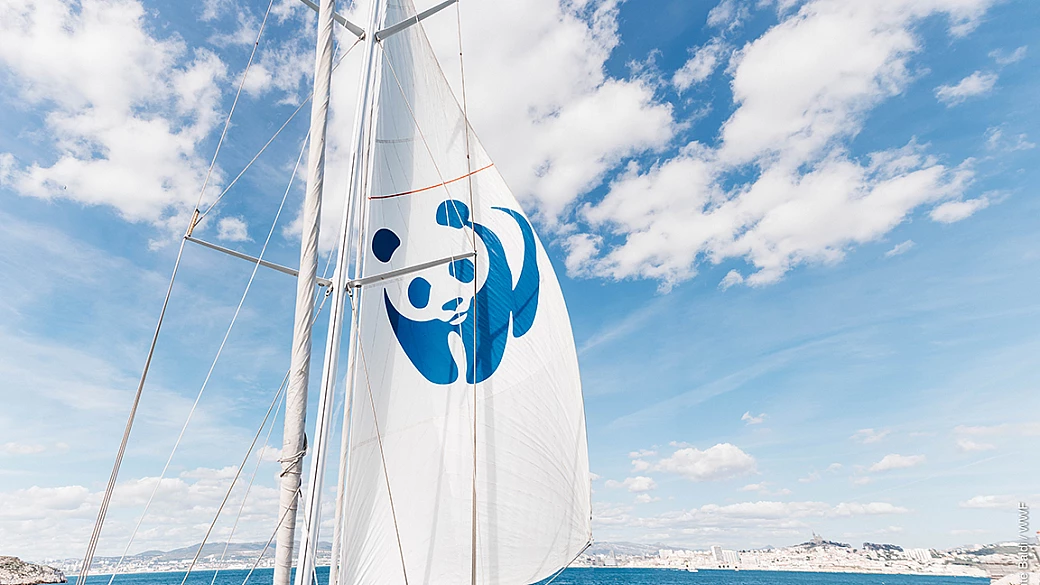 tg del turismo: estate in barca a vela, natura, festival e città pedonali