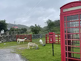 005_the_wee_mad_road