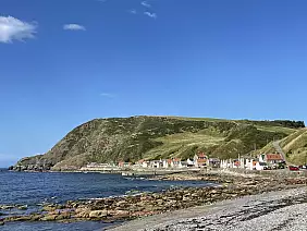 019_crovie