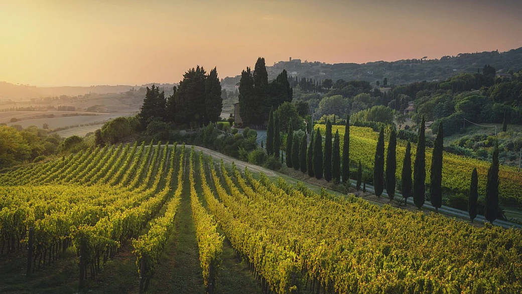 È il borgo d'autore da scoprire nel cuore del chianti: tra vini e panorami, ecco perché ti lascerà senza parole