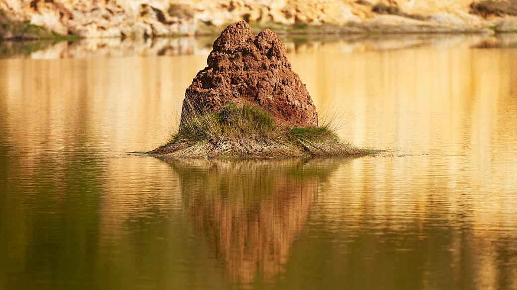non serve andare negli stati uniti per scoprire i geyser: ce ne sono di bellissimi anche alle porte di roma