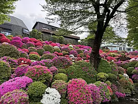 2024_04_22_16_43_50_copy