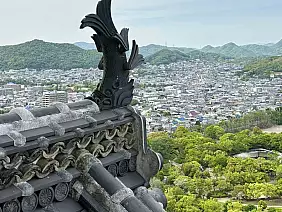 2024_04_28_15_15_48_copy