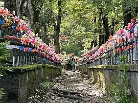 2024_05_02_16_46_59_copy