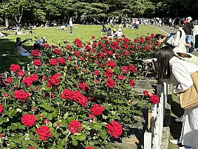 2024_05_03_15_21_33_copy