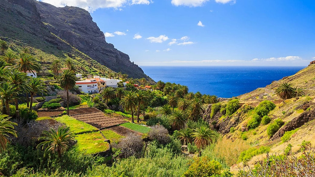È l'ultima isola incontaminata d'europa: le sue foreste impenetrabili ti faranno scoprire la giungla a poche ore dall'italia