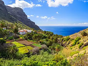 canary style villa palm tree, la gomera, canary islands