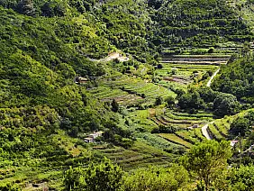 vallehermoso on gomera