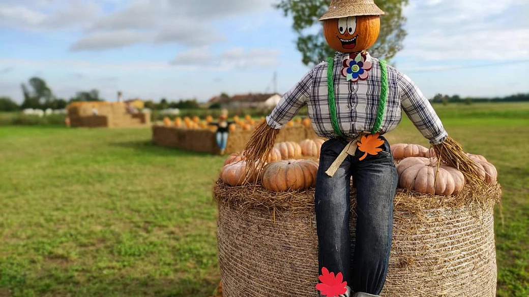 villaggio delle zucche a torino: quando apre, cosa vedere e quanto costa l'ingresso