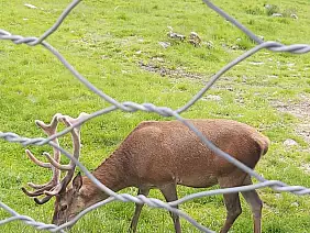 img_20240630_wa0002_1_