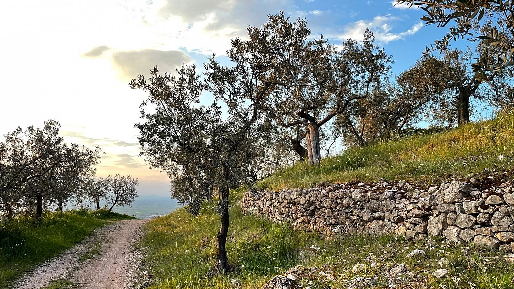 tg del turismo: eventi in liguria e umbria, over tourism e stato delle spiagge