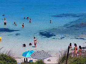 pelosa_spiaggia_2