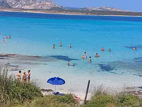 pelosa_spiaggia_3
