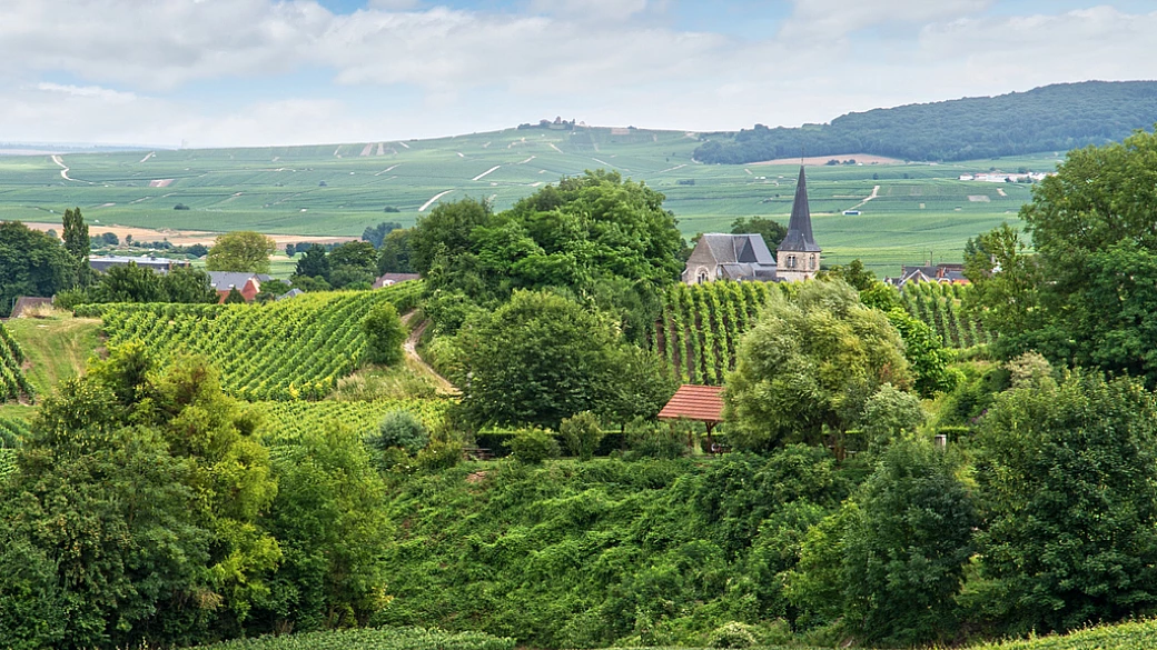 È la capitale mondiale delle bollicine: in francia c'è una città dove si brinda ad ogni angolo