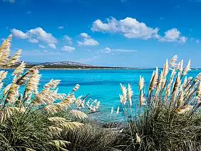 stintino la pelosa_1387476185