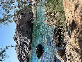 177325a5_b0c8_4761_89d9_2ef8d072ebcb