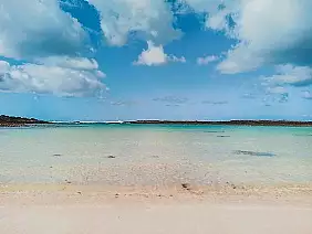 6539f3_05dcdc2d9c5a4c309618124bd0498e1e_mv2