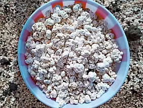 6539f3_95b9350360a147d9865ee704e6875a8b_mv2