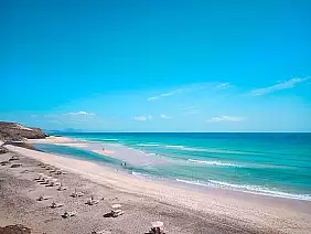 6539f3_bea97879c5dc4e919990996e72668543_mv2