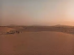 6539f3_e3c72c51046c4b2596f112fcf131d9e8_mv2