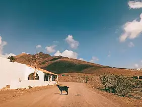 6539f3_f437bfa5f42c4eee96f1352faa629d33_mv2