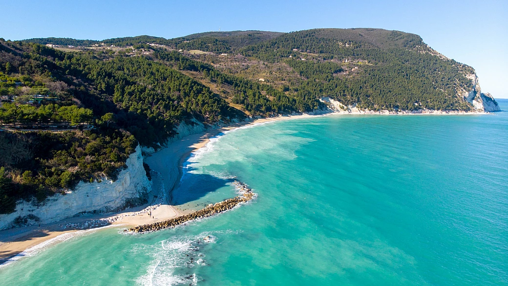 la bontà che viene dal mare, ma non è pesce: sulle scogliere del conero c'è una verdura tanto gustosa quanto sconosciuta
