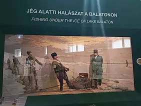 img_20240829_wa0003_1_