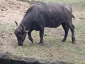 img_20240830_wa0003_1_