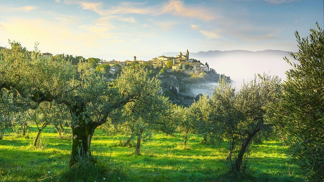 l'autunno è la stagione dell'olio nuovo, e in questi 5 borghi umbri potrai vivere un weekend di degustazioni e arte