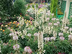 d32c515c_6b54_4ae7_886b_9846332c36f4_17aa79bc_768d_40a6_8cc1_26ac8497221a