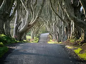 darl hedges_2470831701