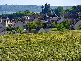 hauvillers_2357741225