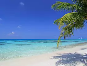 maldives_ari_atoll_dhigurah_isl_beach_orig