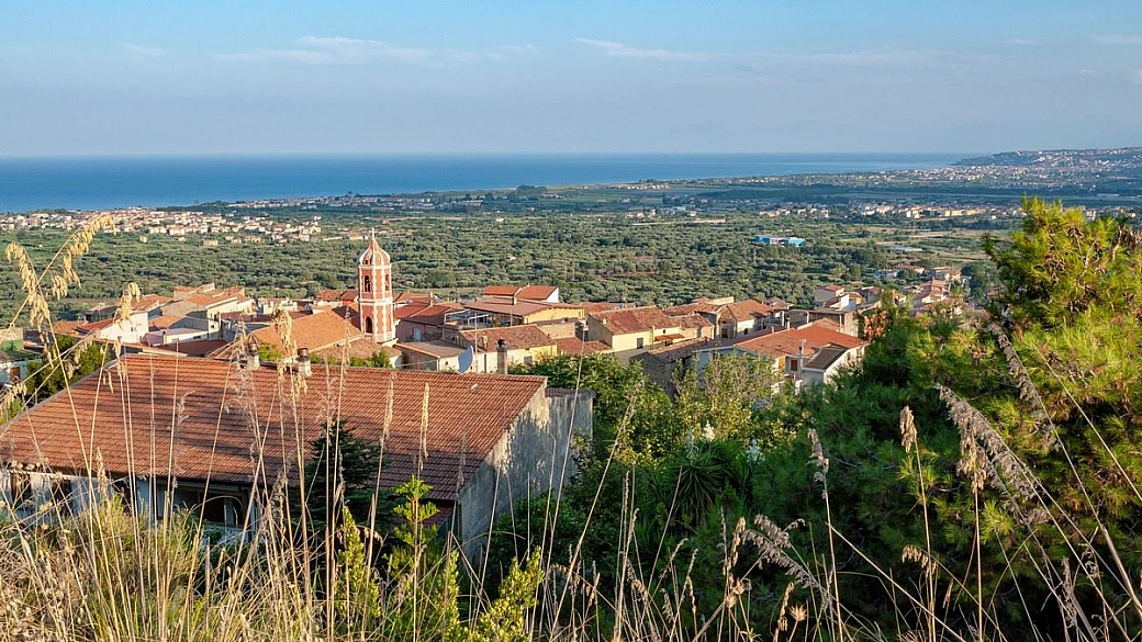 a pochi chilometri dalla costa più bella della calabria c'è il borgo dei cedri: tra alberi profumati e frutti gialli, è un vero testimone della ricchezza del territorio