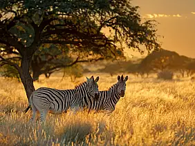 sudafrica_2467073169