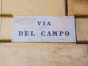 via del campo_455164579