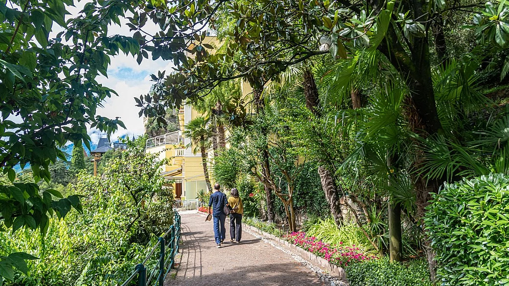 la passeggiata più verde d'italia: lungo questo percorso più di 400 piante diverse incorniciano viste mozzafiato sulle alpi