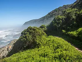 tsitsikamma_2402604333