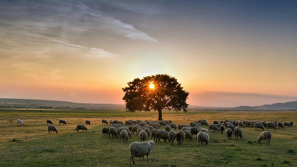 bella come un quadro, regale come una corte: ecco i 5 paesaggi mozzafiato che ti faranno scoprire la scozia più bella