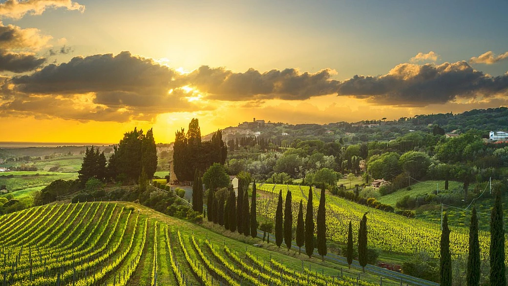 vino al piombo e interiora di pesce: ecco com'era la cucina romana di 2000 anni fa (e perché i suoi sapori oggi ci sembrano disgustosi)