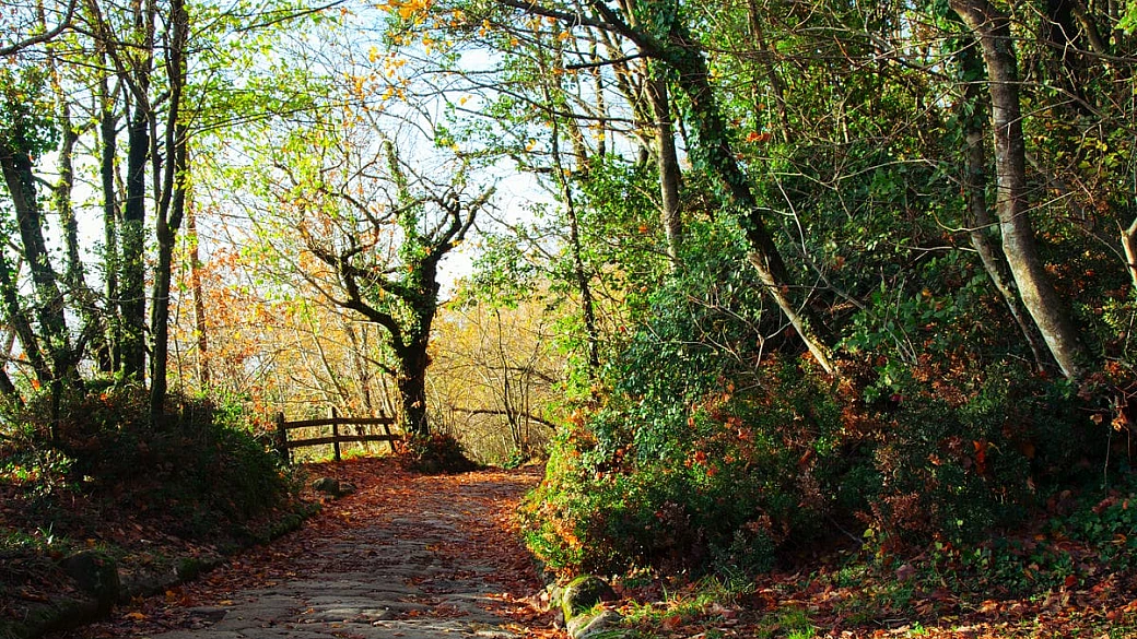 grotticelle e grotte cave: due passi nelle profondità dei castelli romani