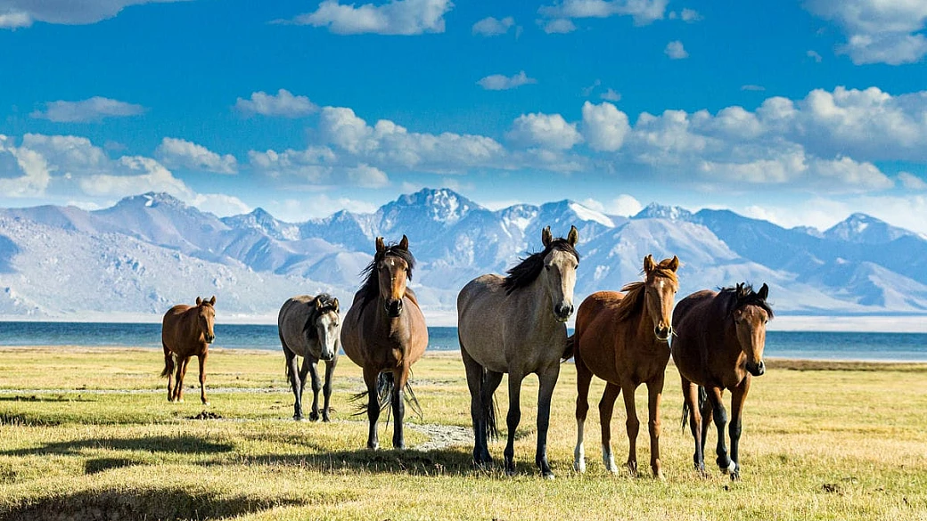 gli spazi infiniti dell'estremo oriente: è il paradiso a est, dove tra montagne e yurte la luce e le stagioni si alternano in una danza senza tempo