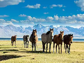 kirghizistan_2394049771