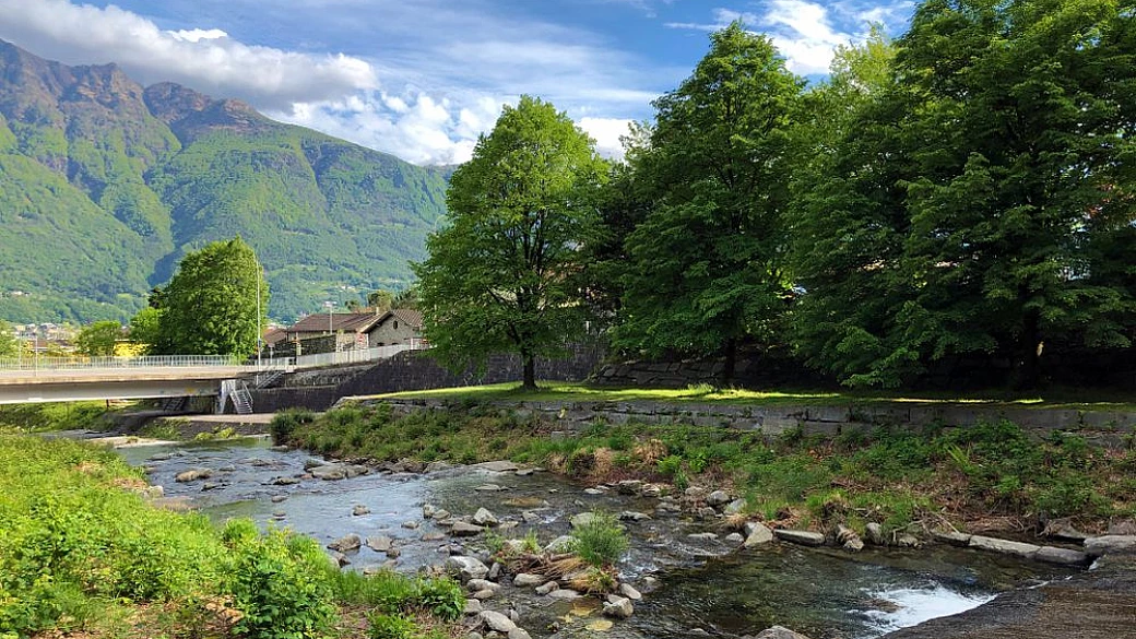 il parco del piano di magadino: un gioiello naturale nel cuore del ticino
