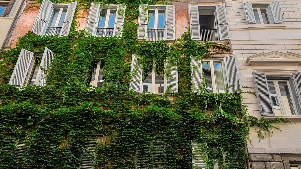 ai piedi del colosseo ma lontano dalle folle dei turisti: il rione di roma che in pochi conoscono è un vero toccasana per l'anima